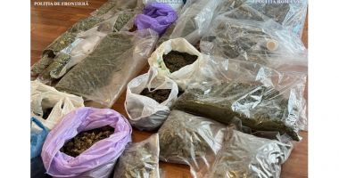 Stire din Eveniment : Galerie foto. 27 de kilograme de cannabis, descoperite de poliţişti. Şase supecţi au fost deja reţinuţi