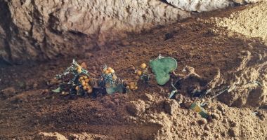 Stire din Cultură-Educație : Descoperire importantă, în necropola oraşului antic Callatis. Arheologii au găsit podoabe de aur, sticlă și bronz