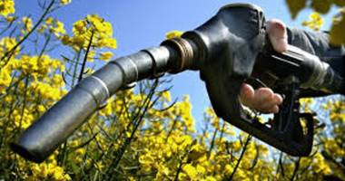 Stire din Economie : Biocarburanții din gunoaie și alge vor lua locul celor din plante