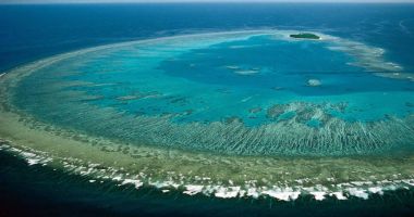 Decizie: Marea Barieră de Corali a Australiei nu va fi inclusă pe lista UNESCO