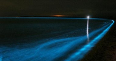SPECTACULOS: Valuri albastru-neon în Pacific / VIDEO