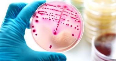 Stire din Actualitate : O superbacterie pentru care nu există tratament se răspândește tot mai mult !