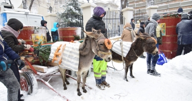 Urgia Bobotezei nu i-a oprit pe creștinii constănțeni. Au luat apă sfințită direct din butoaie - 4