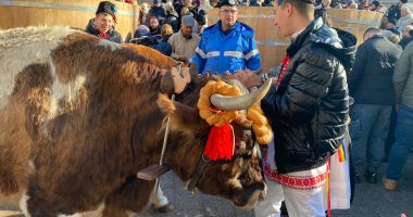 Mii de credincioși, prezenți la Sărbătoarea Bobotezei, la Constanța - 2