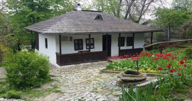 Municipiul Iaşi, o adevărată lecţie de istorie la faţa locului - 8