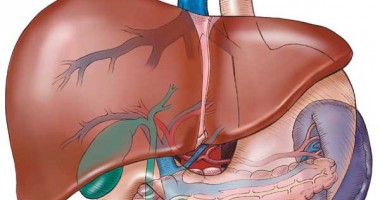 Stire din Sănătate : Ciroza hepatică-stadiul final al tuturor afectiunilor hepatice