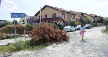 Locatarii cartierului Boreal,  terorizați de manelele din Palazu Mare! - 2