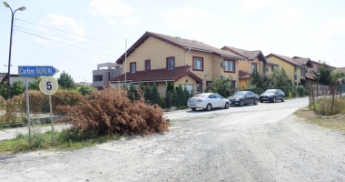 Locatarii cartierului Boreal,  terorizați de manelele din Palazu Mare! - 6