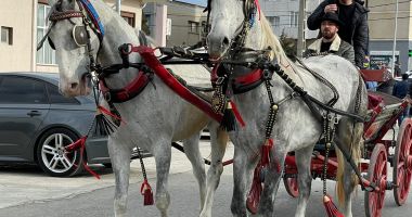 Stire din Politică-Administrație : Primăria Mihail Kogălniceanu organizează „Botezul Cailor”