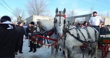 Galerie foto. Eveniment unic în județul Constanța. "Botezul Cailor" organizat de Primăria Mihail Kogălniceanu - 3