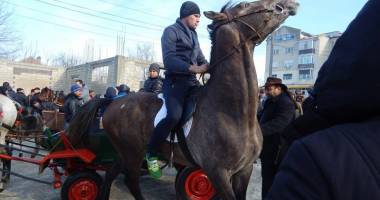 Galerie foto. Eveniment unic în județul Constanța. "Botezul Cailor" organizat de Primăria Mihail Kogălniceanu - 4