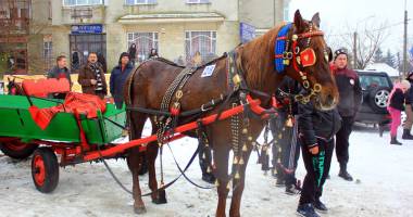 Eveniment unic în județ. Primăria Mihail Kogălniceanu păstrează tradiția "Botezului Cailor" - 2