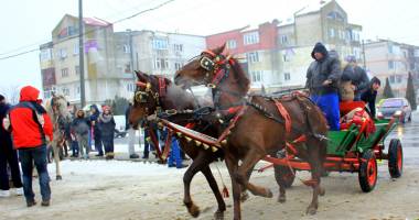 Eveniment unic în județ. Primăria Mihail Kogălniceanu păstrează tradiția "Botezului Cailor" - 6