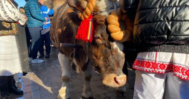 Mii de credincioși, prezenți la Sărbătoarea Bobotezei, la Constanța - 3