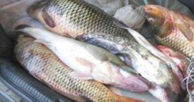 Stire din Eveniment : Constănțeni prinși cu 300 de kilograme de pește braconat
