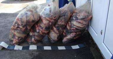 Stire din Eveniment : Braconajul piscicol, în floare