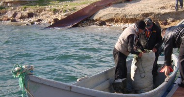 Prinși la pescuit ilegal calcan, în Marea Neagră - 3