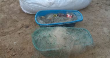 Braconieri arestați la Constanța. Polițiștii au confiscat mii de euro - 3