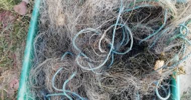 Braconieri arestați la Constanța. Polițiștii au confiscat mii de euro - 4