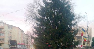 Stire din Actualitate : Brad montat în mijlocul șoselei, într-un oraș din județul Vrancea