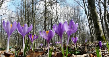 Stire din Social : Temperaturi mai ridicate decât cele specifice perioadei, inclusiv la începutul lunii aprilie