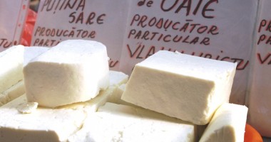Stire din Economie : La ce să fie atenți vânzătorii de lapte și brânzeturi din piețele constănțene