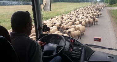 IMAGINEA ZILEI. TURIȘTI BLOCAȚI "ÎN TRAFIC",  MAI CEVA CA PE PODUL AGIGEA!