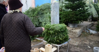 Brad la ghiveci sau brad din plastic? Ce alegem anul acesta - 4