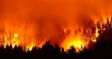 Stire din Actualitate : Brazilia respinge ajutorul propus de G7 pentru combaterea incendiilor din Amazonia