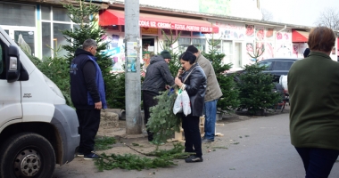 Brad la ghiveci sau brad din plastic? Ce alegem anul acesta - 6