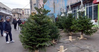 Brad natural sau artificial, ce alegeți anul acesta de Crăciun? - 4