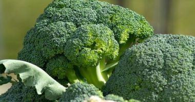 Alertă în supermarkert: Brocolli retras de pe rafturi - 1
