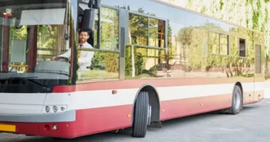 Stire din Fun : Bulă și Ștrulă încearcă să fure un autobuz