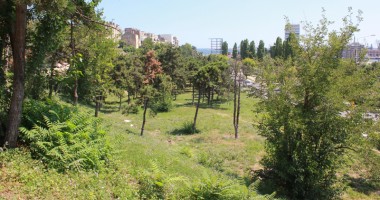 GALERIE FOTO. Unde va fi amenajat și cum va arăta cel mai nou parc al Constanței - 2