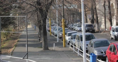 Stire din Eveniment : Atenție, constănțeni, se toaletează copacii și spațiile verzi din centrul orașului
