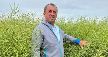 Agricultura constănţeană poate fi salvată din „ghearele” nemiloase ale secetei
