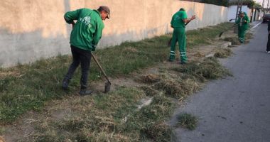 Buruienile de pe trotuare, adunate de echipele de la salubrizare