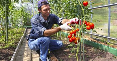 Stire din Social : „Prima butelie în seră”. Cum vrea să-i ajute ministrul Agriculturii pe fermieri să cultive legume tot anul