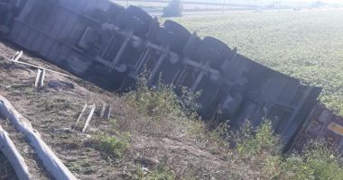 Atenție șoferi! Tir încărcat cu porci, răsturnat pe Autostrada Soarelui - 3