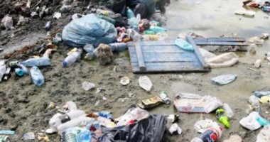 Stire din Cultură-Educație : Ce deșeuri  au "crescut" pe plajă