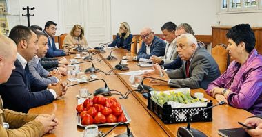 Stire din Economie : Producătorii de legume și fructe înscriși în cooperative, vor avea piață de desfacere în supermarketuri, de săptămâna viitoare