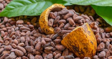 Stire din Economie : O nouă lovituă pentru producătorii şi iubitorii de ciocolată! Preţul tonei de cacao a atins un nou record
