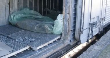 Stire din Actualitate : Imaginile războiului: Cadavrele militarilor ruși, strânse și îngropate de ucraineni