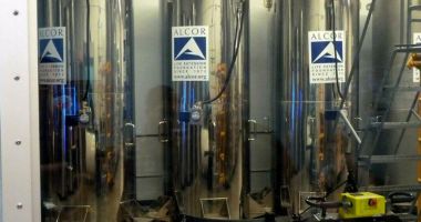 Stire din Actualitate : O companie specializată în criogenie conservă cadavre umane pentru a le "reînvia" în viitor