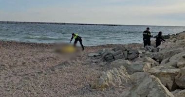 Stire din Eveniment : Cadavrul descoperit în Marea Neagră în ziua de Florii a fost identificat