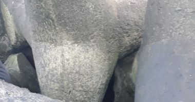 Cadavru pe plaja Trei Papuci din Constanța. Cine este victima - 3