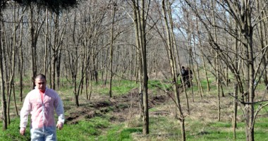 Stire din Eveniment : Cadavru ascuns sub frunze, găsit la marginea Constanței