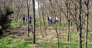 Cadavru ascuns sub frunze, găsit la marginea Constanței - 2