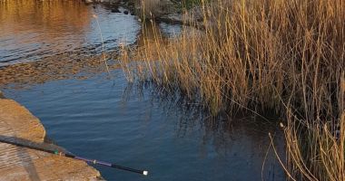 Bărbat găsit MORT, în canal, la Medgidia - 1