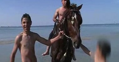Marea s-a transformat în spălatorie pentru cai VIDEO
